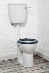 Raised Height Low Level Toilet