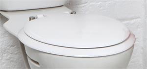 Toilet Seat with Lid
