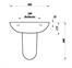 Atlas 50 basin semi Ped drawing.jpg